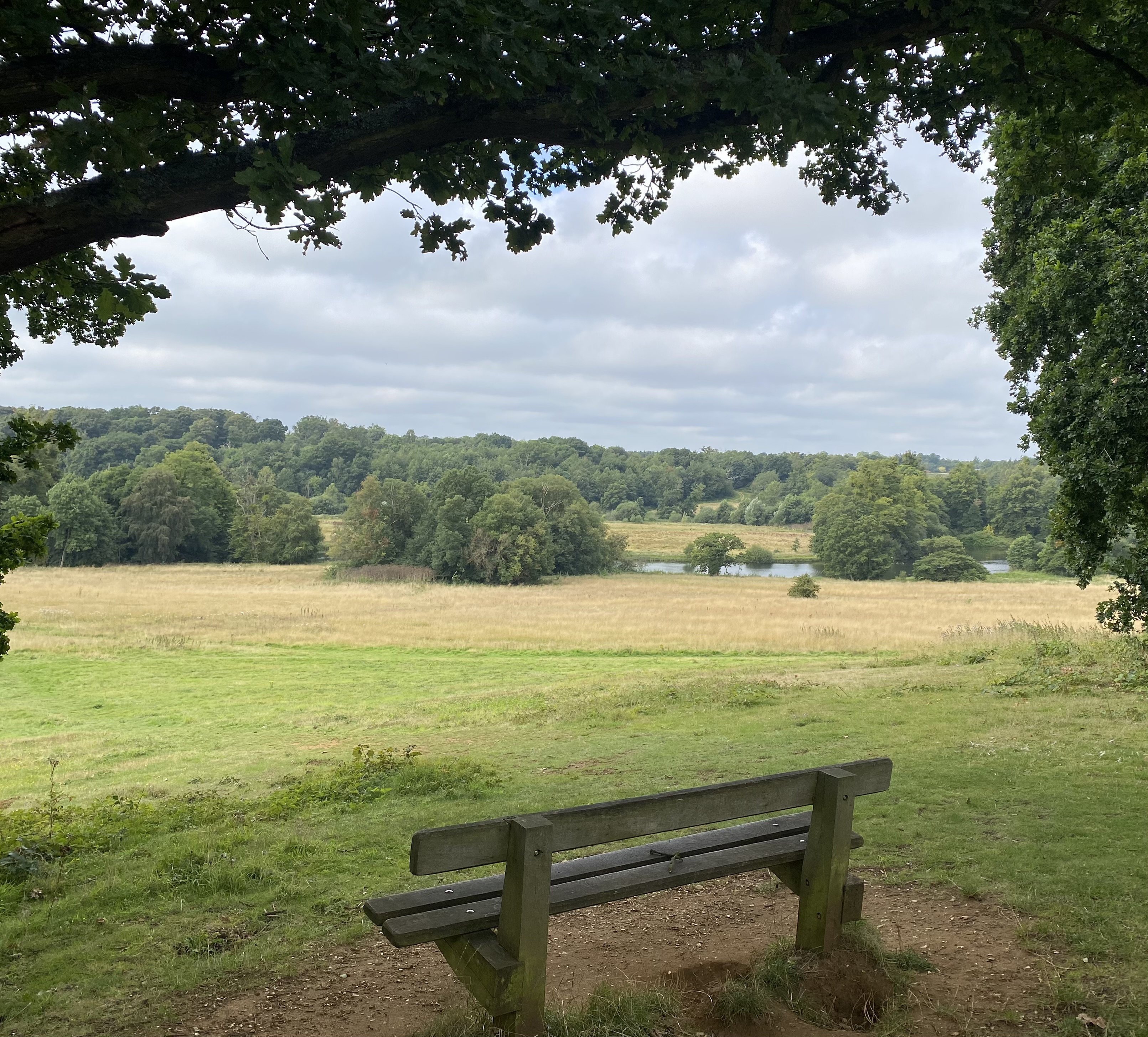 Pansanger Bench overlooking Osprey Lake