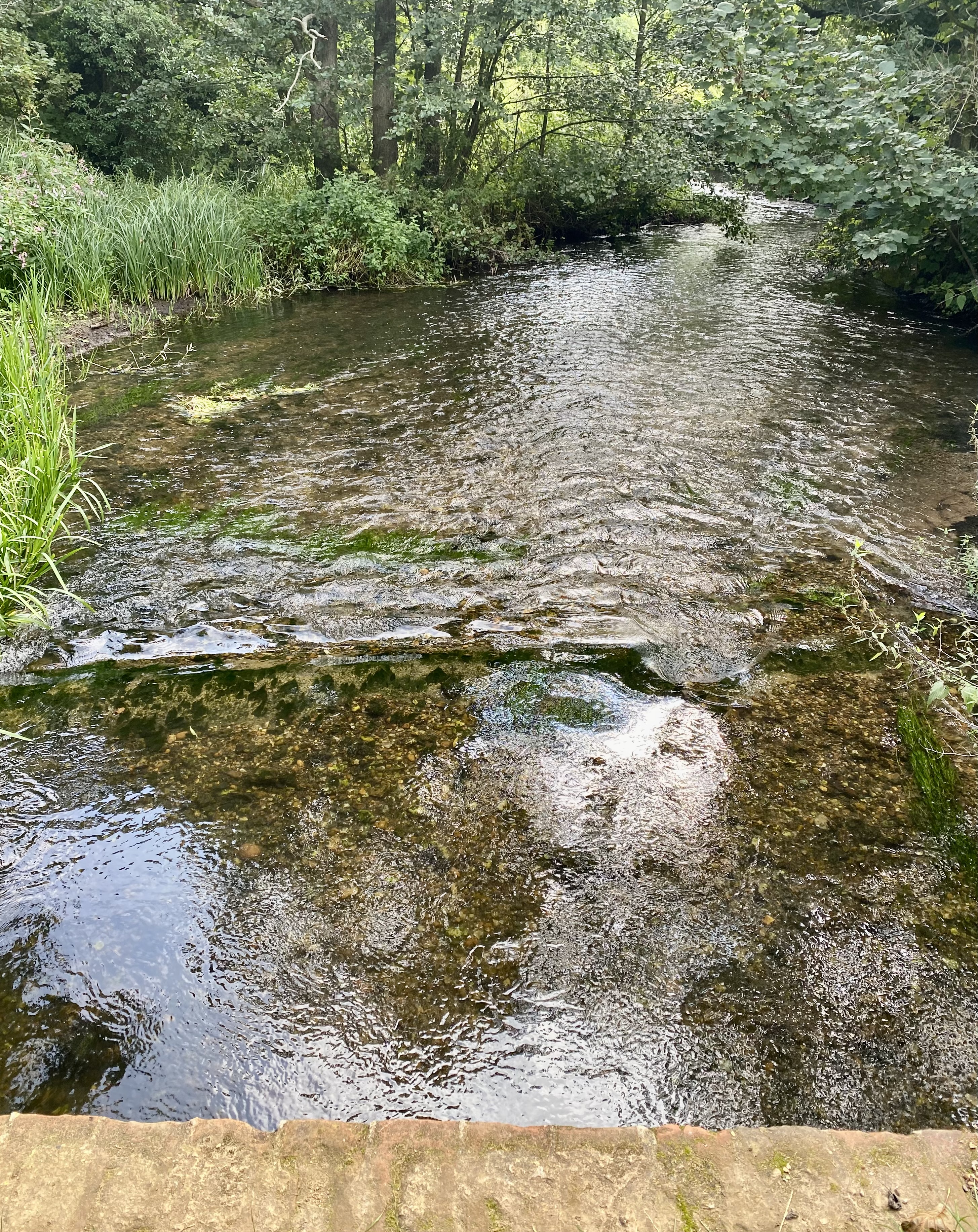 Pansanger chalk streaam